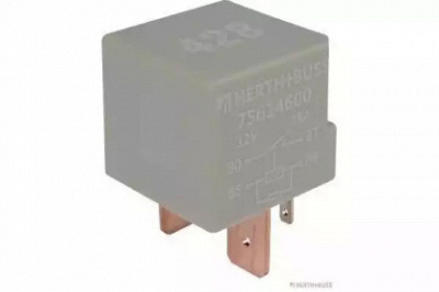 HERTH BUSS ELPARTS 75614600 -  Многофункциональное реле